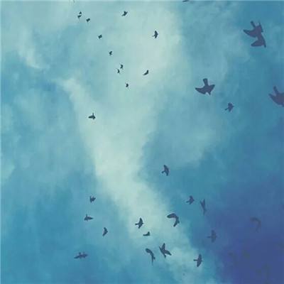 BOB彩票·(中国)平台APP下载