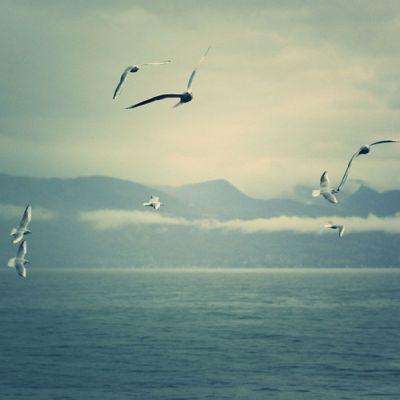 天博平台app下载中心