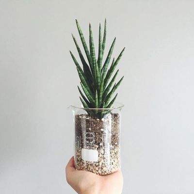 中欧·体育(KOK)中国官方网站app下载