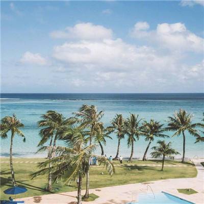 电玩舞会森林app下载