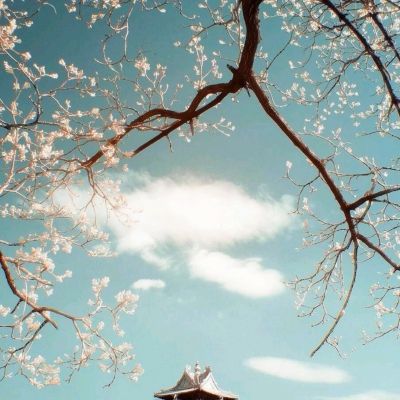 爱游戏ayx最新版